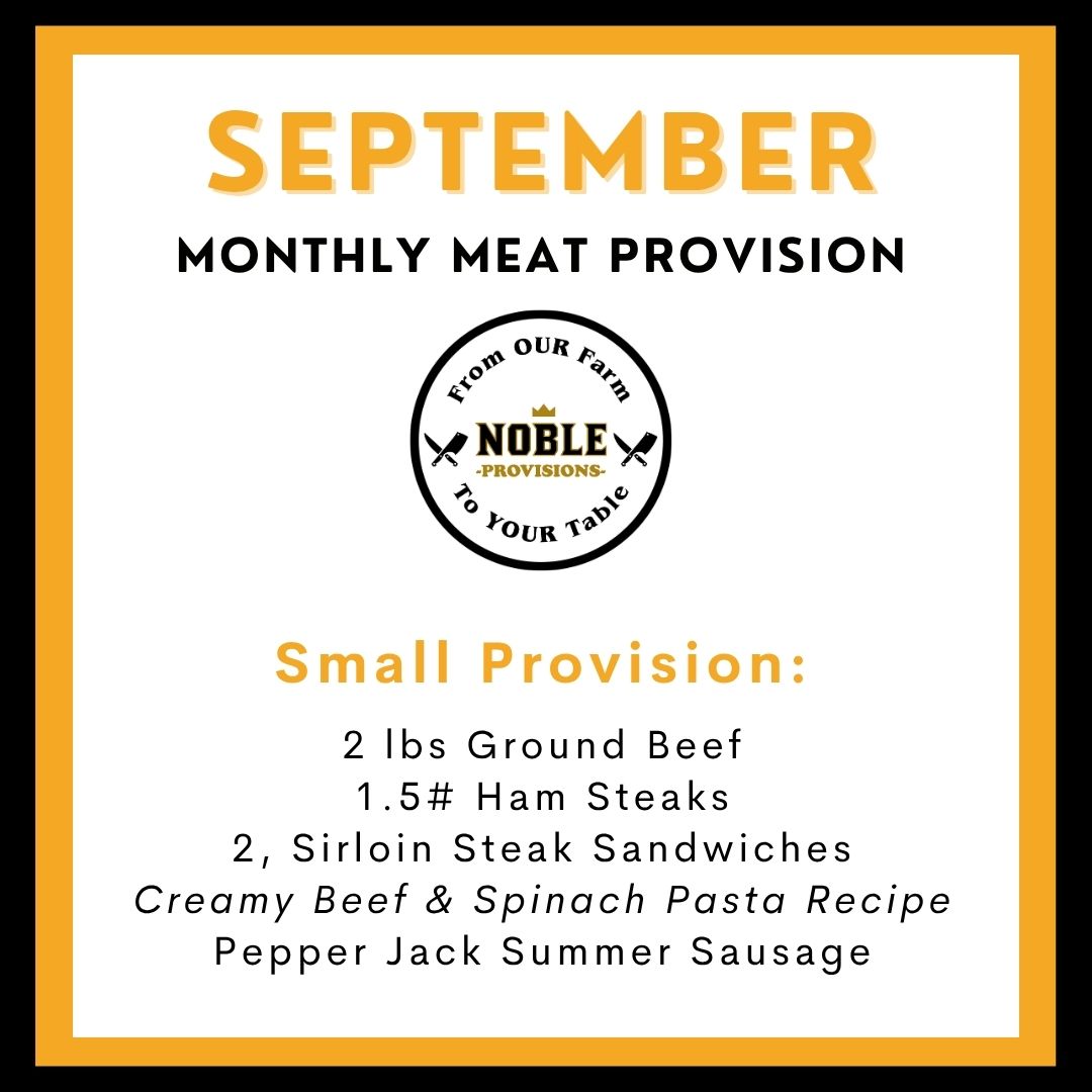 September Small MMP