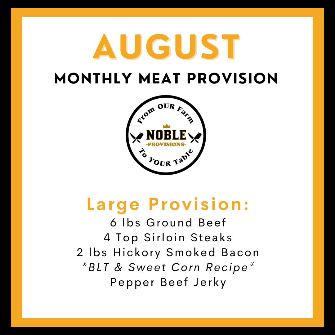 August Large MMP