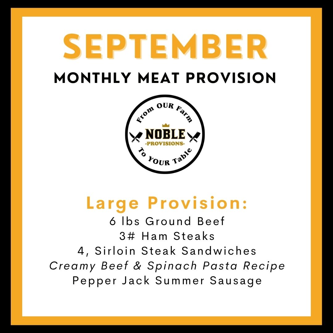 September Large MMP