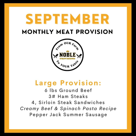 September Large MMP