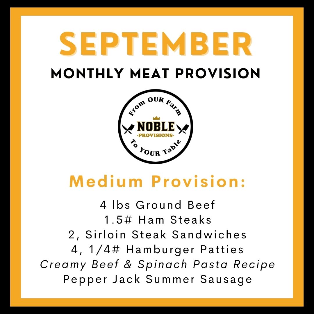 September Medium MMP