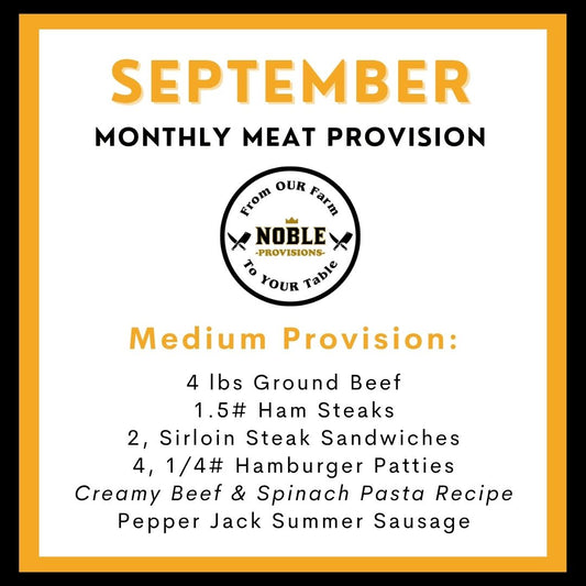 September Medium MMP